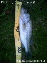 �֥�å��Х�