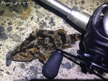 ¥¿¥±¥Î¥³¥á¥Ð¥ë