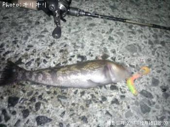 �����ʥ�