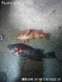 �֤�������