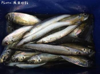 ���������ޥ�