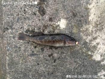 �����ʥ�