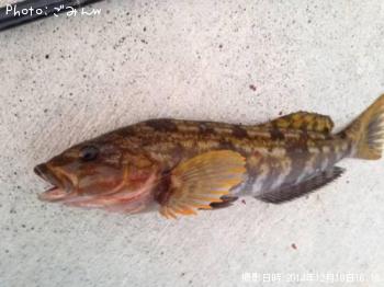 �����ʥ�