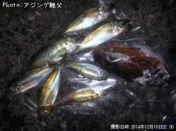 ����������������Х�