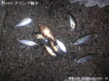 ����������������Х�