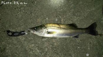 �����Х�