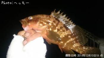 �����ϥ�