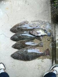 ¥Ò¥é¥á¤È¥á¥Ð¥ë