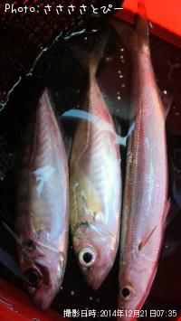 ���������ޥ�