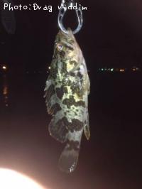 �����Υ���Х�