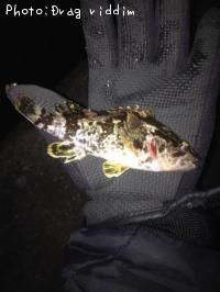 �����Υ���Х�