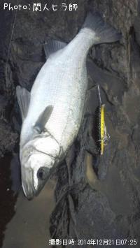 �ҥ饹����