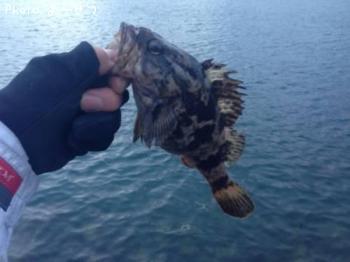 �����Υ���Х�