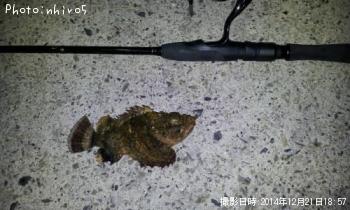 ���ĥޥ�����