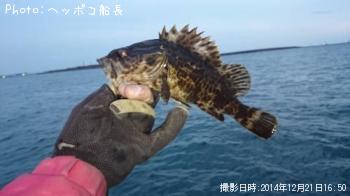 ¥¿¥±¥Î¥³¥á¥Ð¥ë