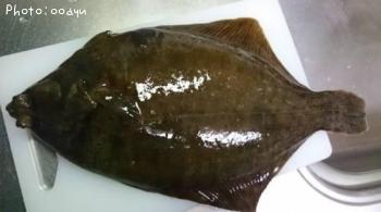 �ޥ����쥤