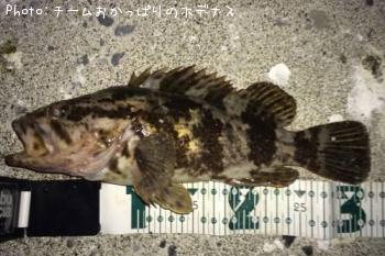 �����Υ���Х�