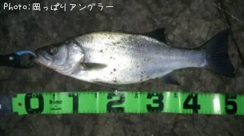 �ҥ饹����