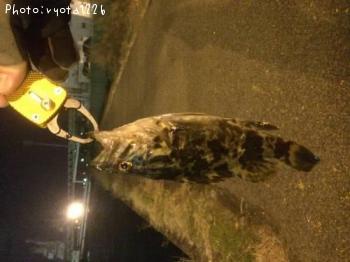 �����Υ���Х�