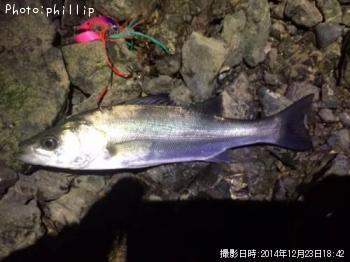 �����Х�