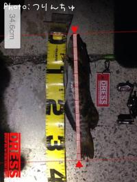 �����ʥ�