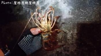 ������Ϸ