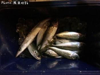 ���������ޥ�