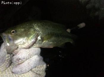 �֥�å��Х�