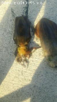 �����ꥤ��