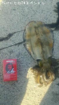 �����ꥤ��