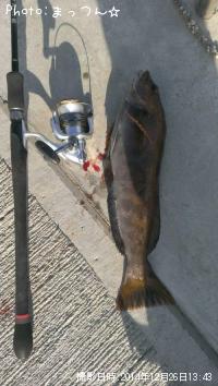 �����ʥ�