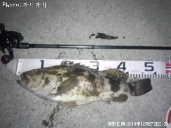 �٥å�������