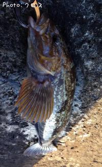 �����ʥ�