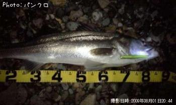 �����Х�