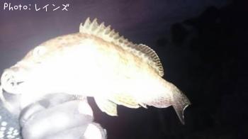 �������ϥ�