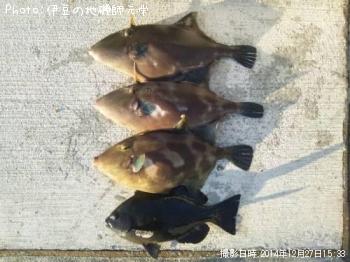 ¥¦¥Þ¥Å¥é¥Ï¥®