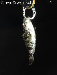 �����Υ���Х�