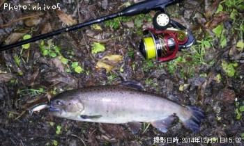 ¥ì¥¤¥ó¥Ü¡¼