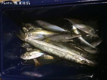 ���ޥ�������