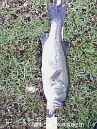 �֥�å��Х�