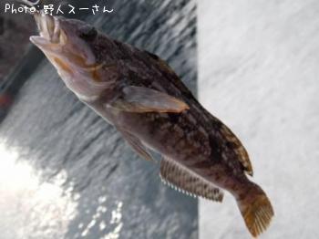 �����ʥ�