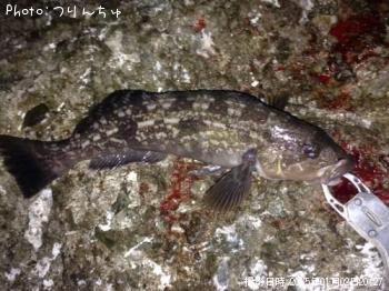 �����ʥ�