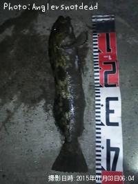 �����ʥ�