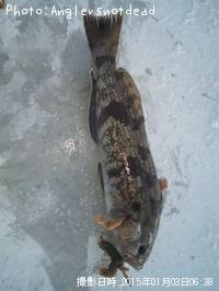 �����ʥ�