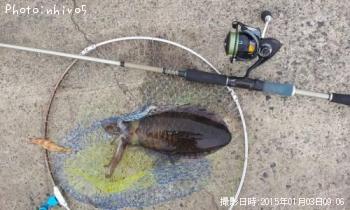 �����ꥤ��