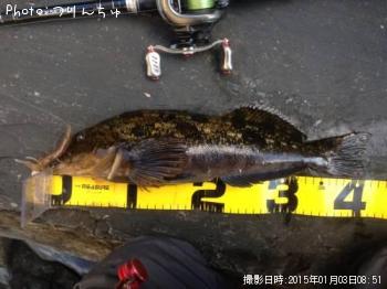 �����ʥ�