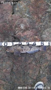 �����ʥ�