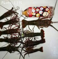 ������ȥ���