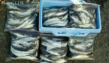 ������ȥ���