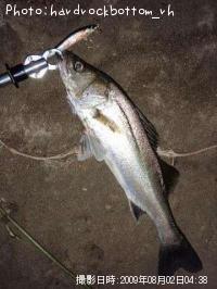 �����Х�